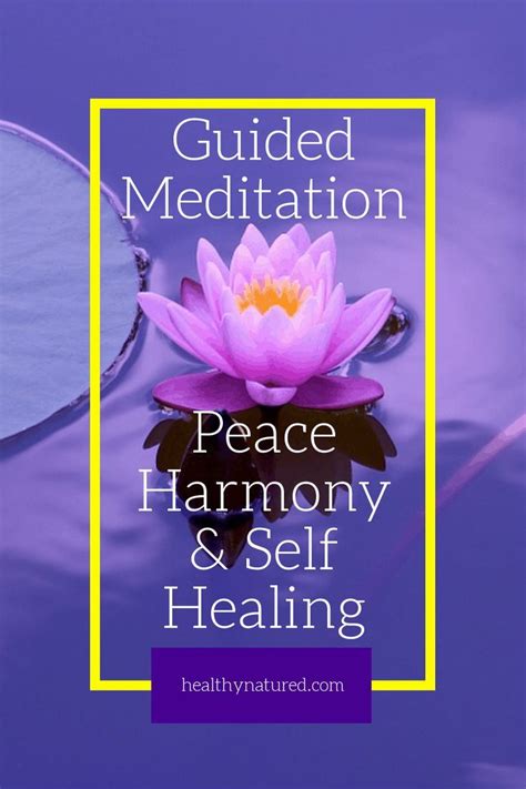 Discover The Best Guided Meditation For Peace Harmony And