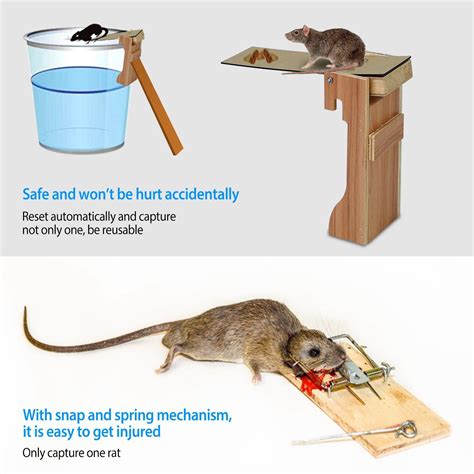 Walk The Plank Mouse Trap Reusable