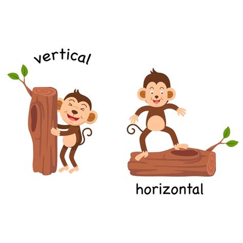 Opposite Vertical And Horizontal Vector Illustration Vector Premium