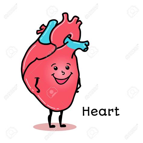 Carácter De Corazón Humano Lindo Y Divertido Ilustración Vectorial De