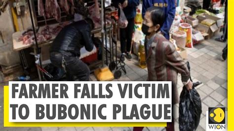 Case Of Bubonic Plague In China China Imposes Strict Control Measures