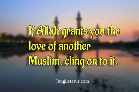 100 Best Allah Quotes On Love Junglistatus