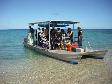 Dive Kadavu Matana Beach Resort Fiji Beach Resorts Diving
