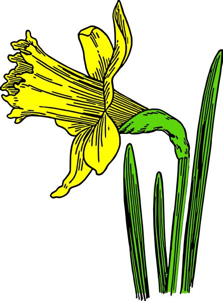 Single Daffodil Clip Art at Clker.com - vector clip art online, royalty