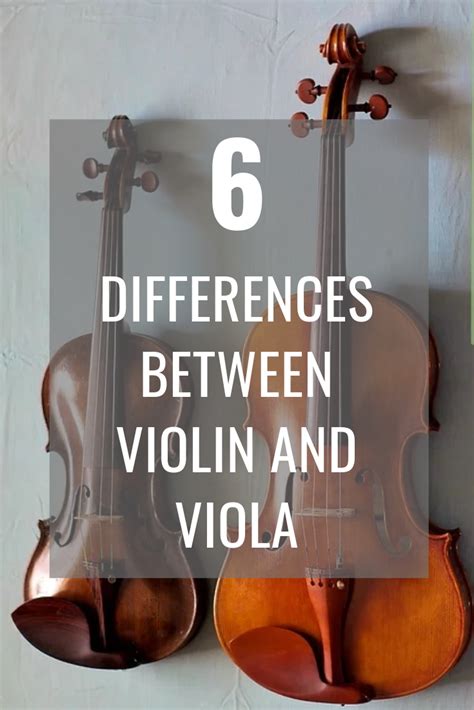 Violin Vs Viola What Is The Difference Artofit