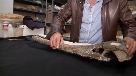 7 Million Year Old Fossil Uncovers Marine Origin Of Crocodiles Youtube