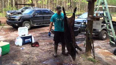 Skinning A Pig Youtube