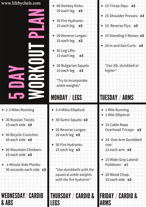 5 Day Workout Plan 5 Day Workout Plan Workout Plan Gym Workout Plan
