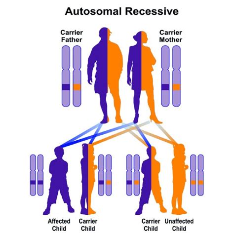 An Overview Of Tar Syndrome Disorders Download Scientific Diagram