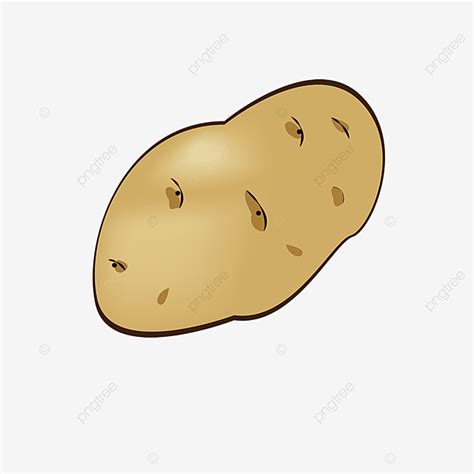 Potato Vector Hd Png Images Potato Potato Clip Art Potato Clipart