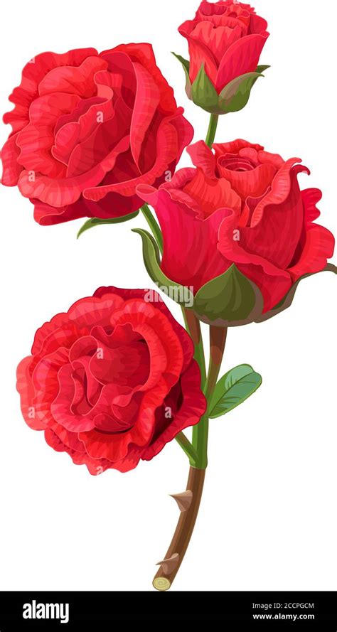 Vector Realistic Clip Art Vintage Rose Flower Stock Vector Image And Art