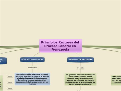 Principios Rectores Del Proceso Laboral En Mind Map