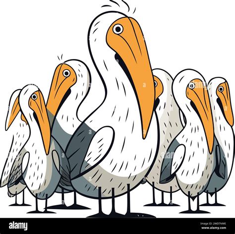 Pelicans Cartoon Vector Illustration Isolated On White Background