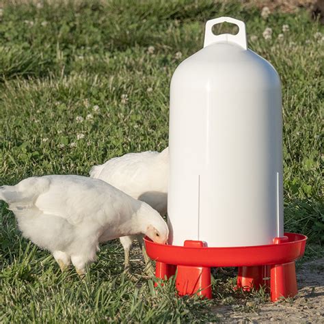 Top Fill Poultry Waterers Premier1supplies
