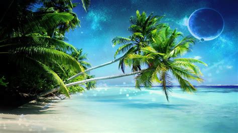 Palm Tree On Paradise Beach Wallpaper Download Hd Wallpapers Most