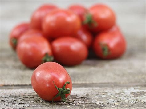 Pearly Pink Tomato A Comprehensive Guide World Tomato Society