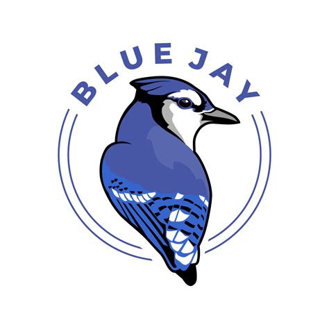 Blue Jay Bird Logo Design Vector 7035994 Vector Art At Vecteezy