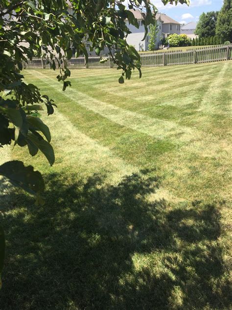 Lawn Mowing Residential And Commercial Cp Lawn Service