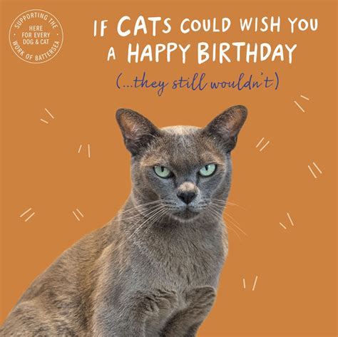 Birthday Card Funny Humour Grumpy Grey Cat Birthday Wishes Highworth Emporium