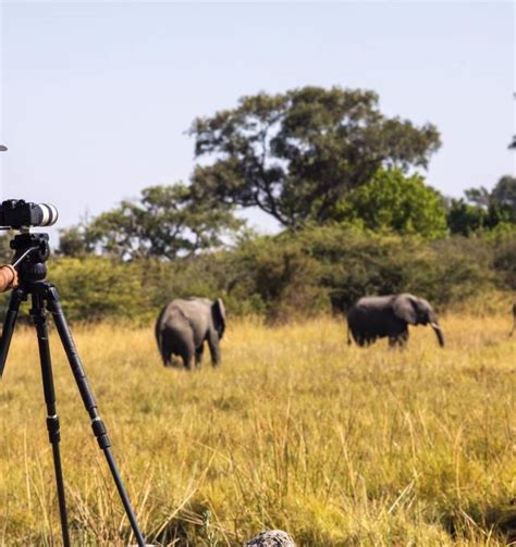 10 Best African Photographic Safaris 2022 2023 Tour Deals Tips