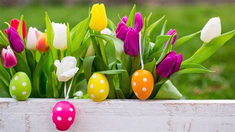 Easter Eggs With Beautiful Background Quotes And Greetings Easter