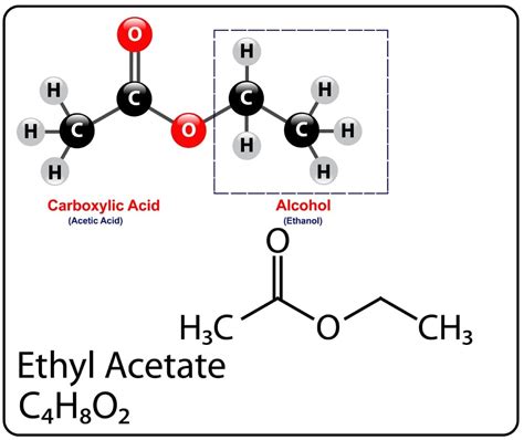 Ethyl Acetate Structure