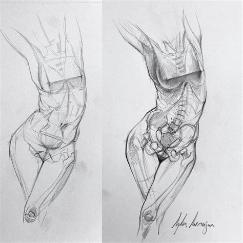 Anatomía De Mujer Exterior E Interior Boceto Anatomía Artística Arte