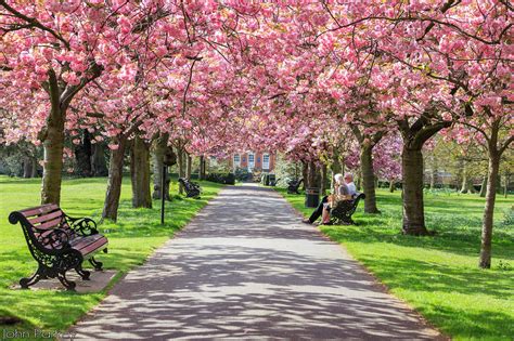 21 Photos Of Flowers Blooming All Over London