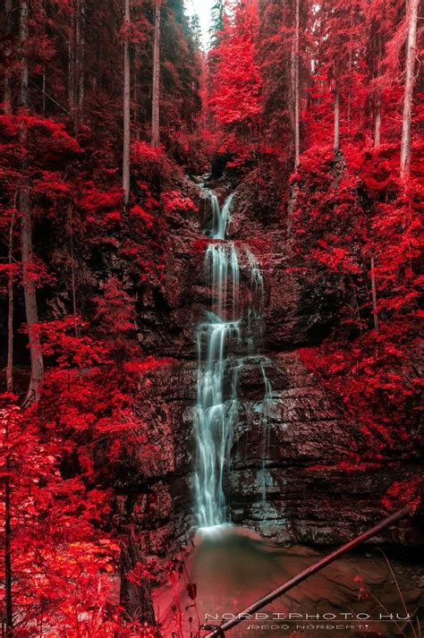 Waterfall And Blazing Red Autumn Forest Amazing Places