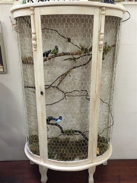 Maybe you would like to learn more about one of these? Friend redid her wood curio cabinet into a bird cage | Pet ...