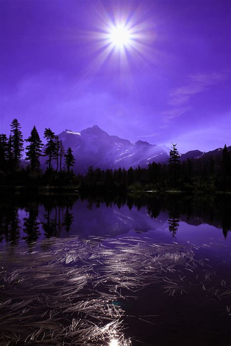 Lavender Star By Darren Colello Photo 14547261 500px