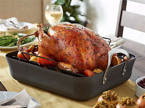 Target Turkey Roaster