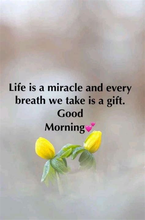 Pin By Tharu On Pins By You Good Morning Quotes Morning Quotes Good