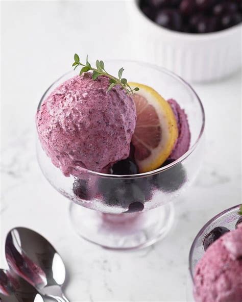 Blueberry Sherbet Recipe With Frozen Blueberries Dessert For Two
