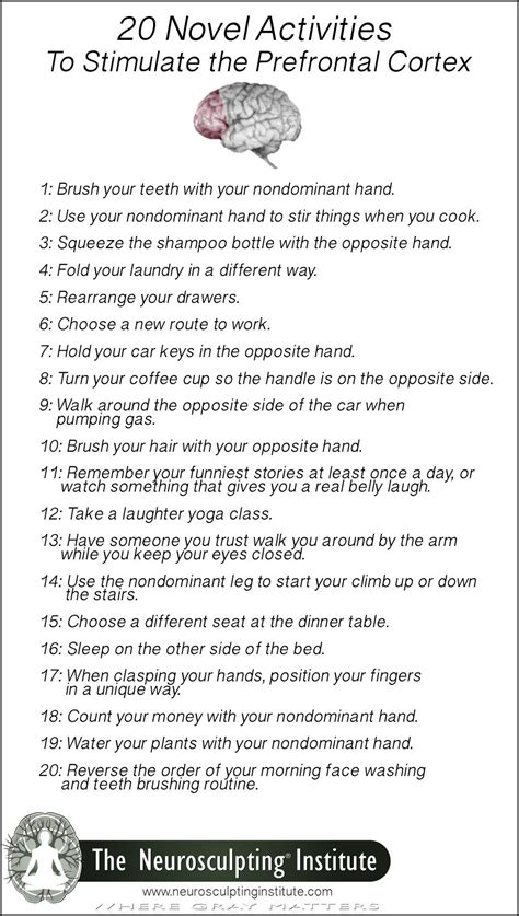 10 printable brain teasers for adults with answers 20 Novel Activities to Stimulate the Prefrontal Cortex ...