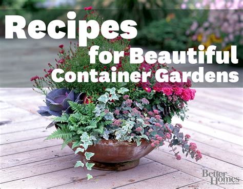 Recipes For Beautiful Container Gardens Container Gardening Plants