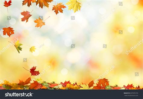 Powerpoint Template Seasons Autumn Maple Leaves Natural Nuohonimm