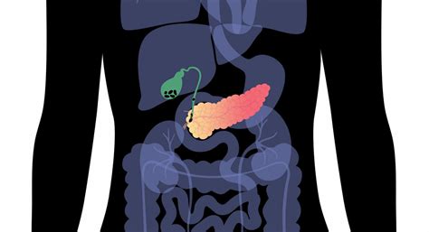 Early Ercp Linked To Shorter Hospitalization In Acute Biliary