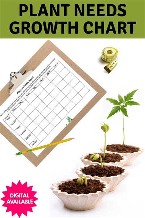 Growth Chart For Plants