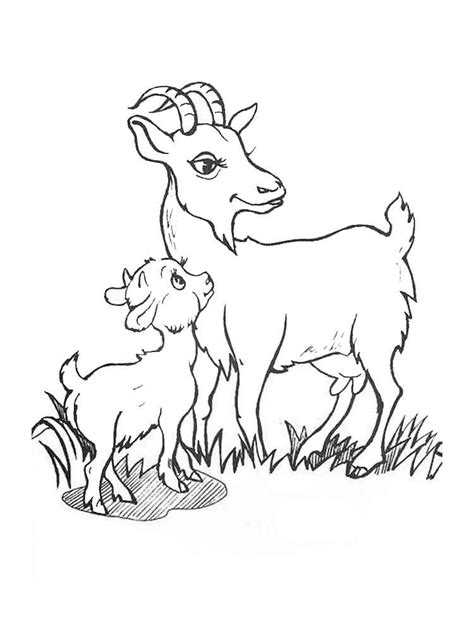 Printable Goat Coloring Page Sketch Coloring Page