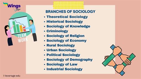 13 Branches Of Sociology That You Must Know About Leverage Edu