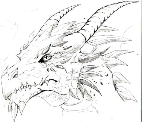 Drawings Of A Dragons Head Sketches Of Dragons Heads Dragons In 2019
