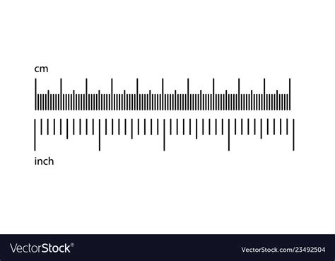 Metric Imperial Rulers Scale For A Ruler Vector Image
