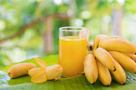 Bunch Of Bananas On Leaf With Juice Drink In Glass Stock Image Image