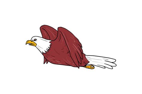 American Bald Eagle Swooping Cartoon Pre Designed Illustrator