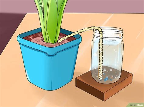 How To Water Plants While Youre Away 6 Simple Ways Self Watering