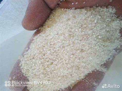 Диета рисовая 5 банок Крупа рисовая сечка(манка) отличная гост купить в Краснодаре | Животные Крупа рисовая сечка(манка) отличная гост купить в Краснодаре | Животные Диета рисовая 5 банок