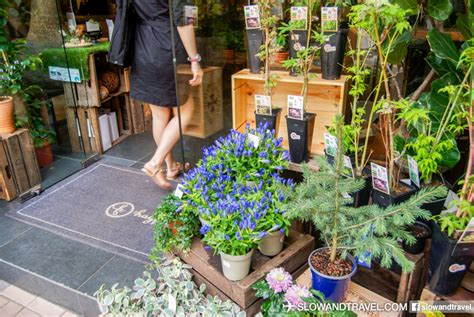 【旺角太子】花墟裡的秘密咖啡店—花粉熱cafe hay fever