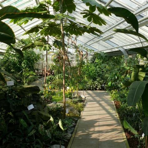 Check spelling or type a new query. Botanischer Garten Potsdam | Mamilade Ausflugsziele