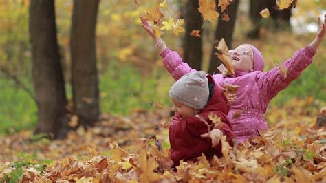 Cheerful Children Playing In Leaves Pile In Autumn Stock Video Footage